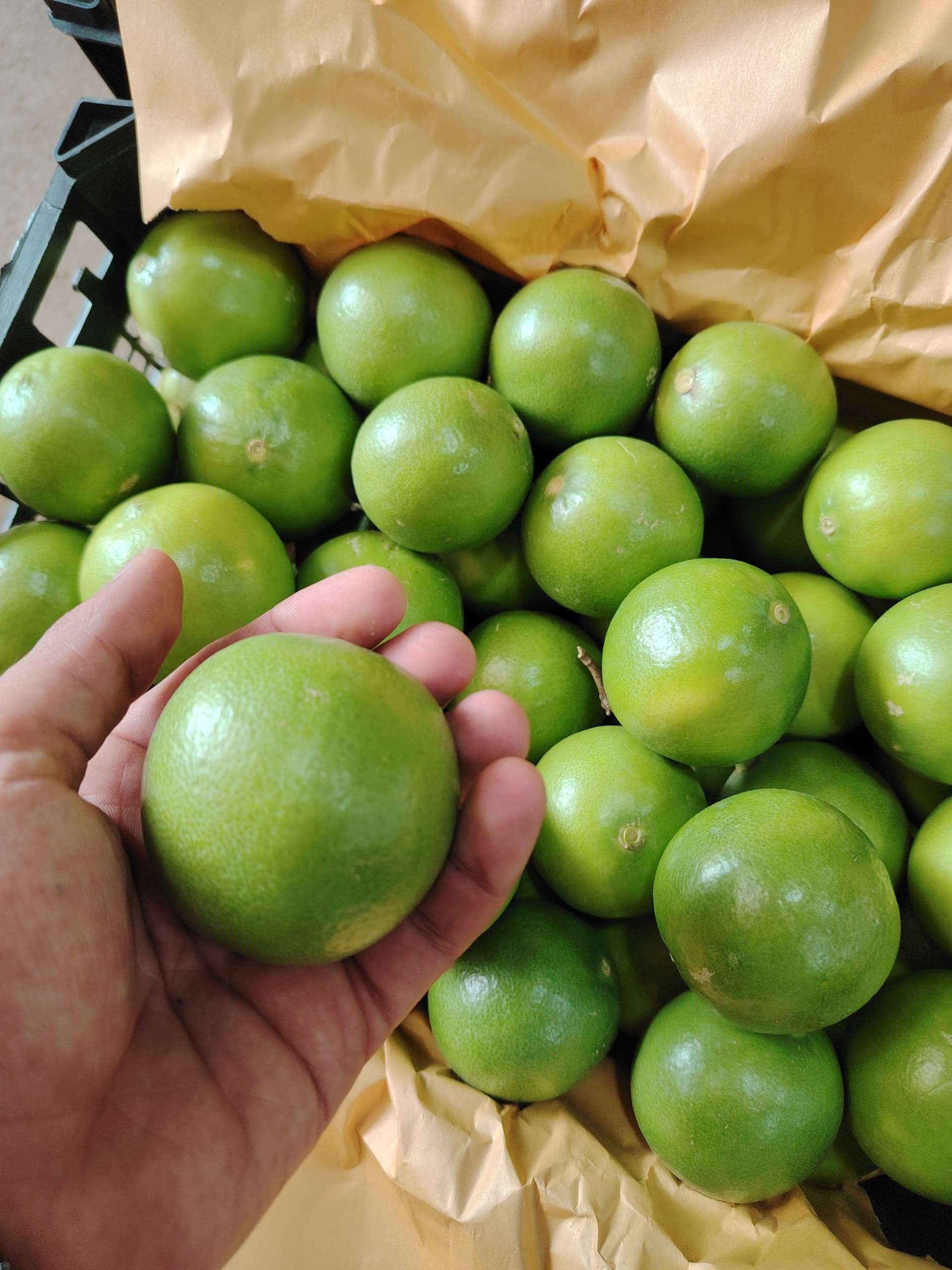 خدمات سورتینگ و بسته‌بندی دزفروت در دزفول