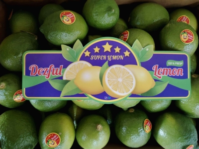 مشاوره تخصصی