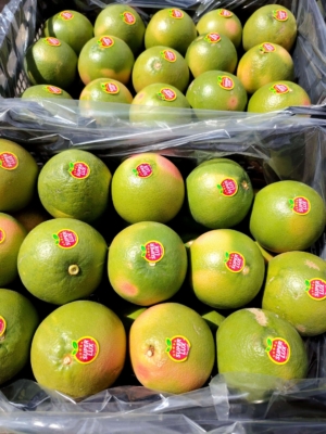 ارسال سریع و مطمئن