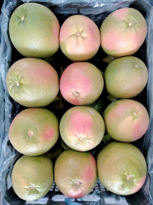 بسته‌بندی استاندارد