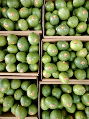 معرفی سورتینگ و بسته‌بندی دزفروت در دزفول